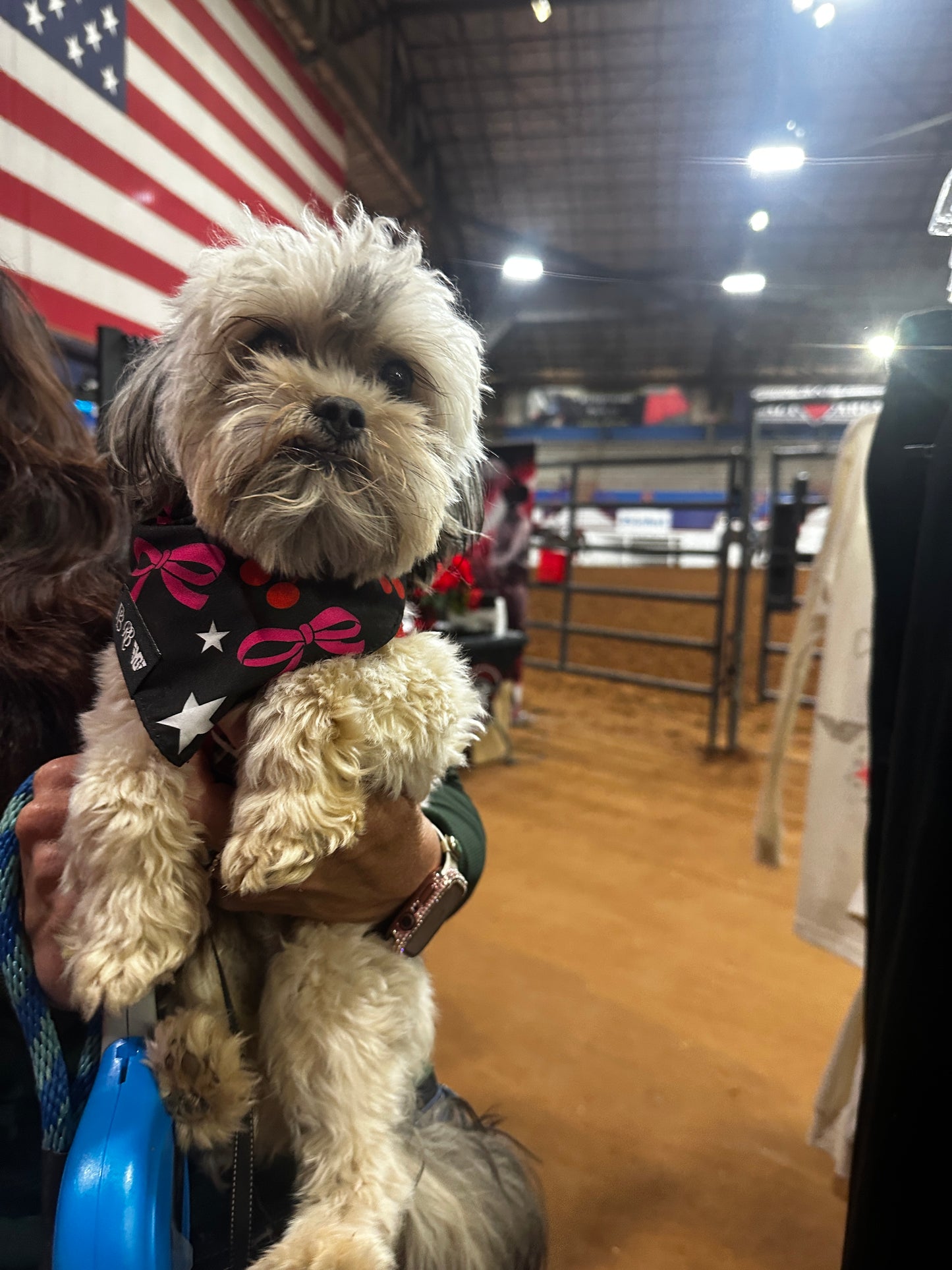 Dog Bandana