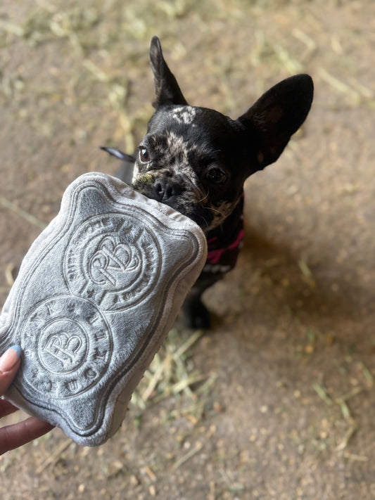 Buckle Dog Toy