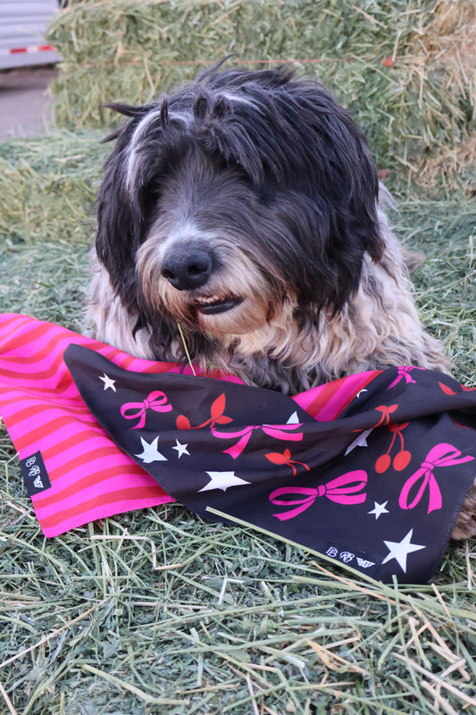 Dog Bandana